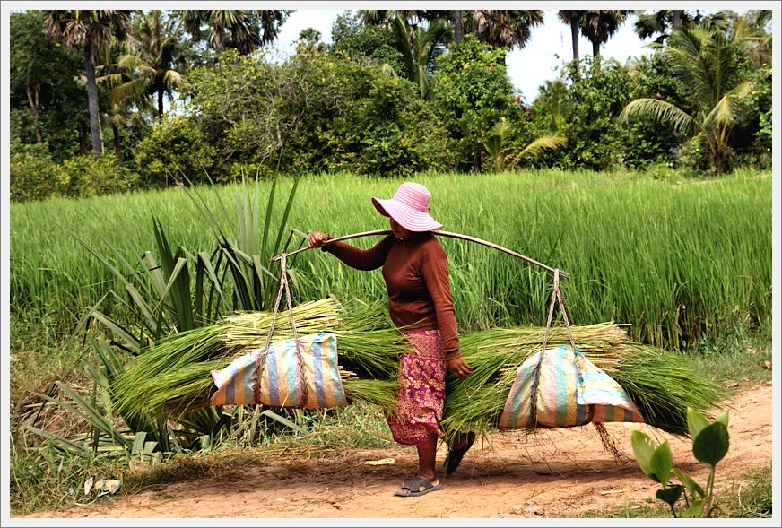 SiemReap_DSC02803