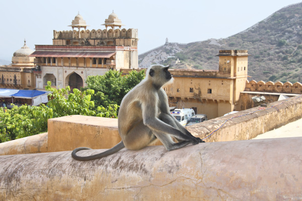 Amber Fort