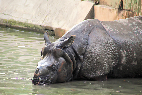 Kolkata Zoo