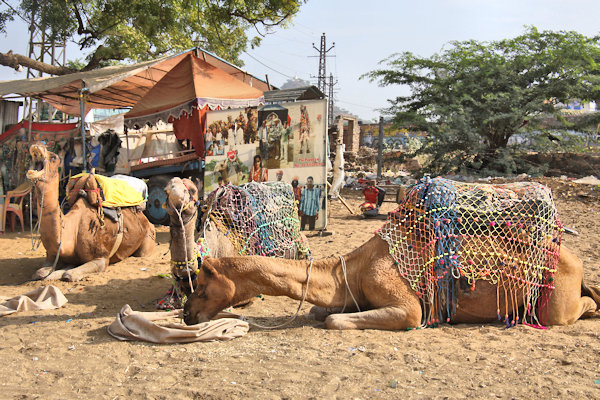 Pushkar