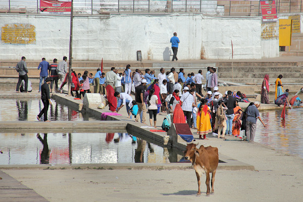 Pushkar