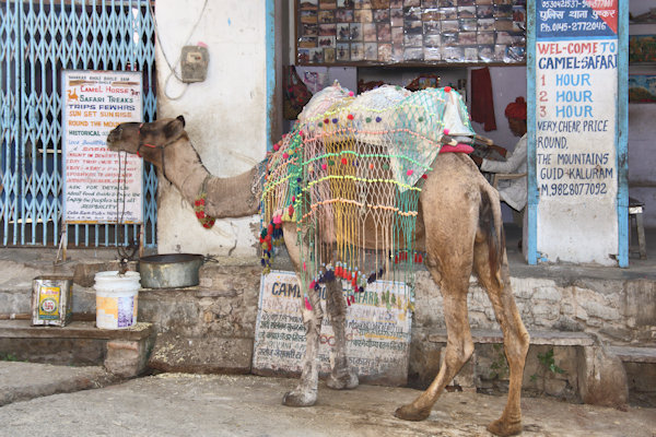 Pushkar
