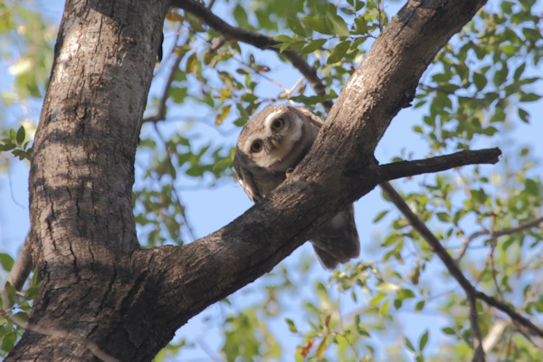 Ranthambhore National Park