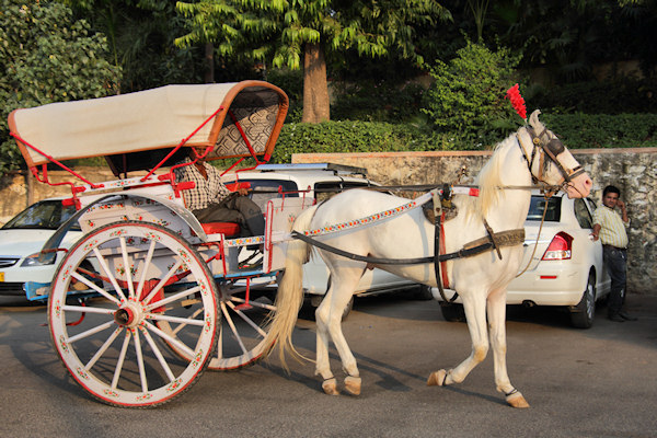 India - Udaipur