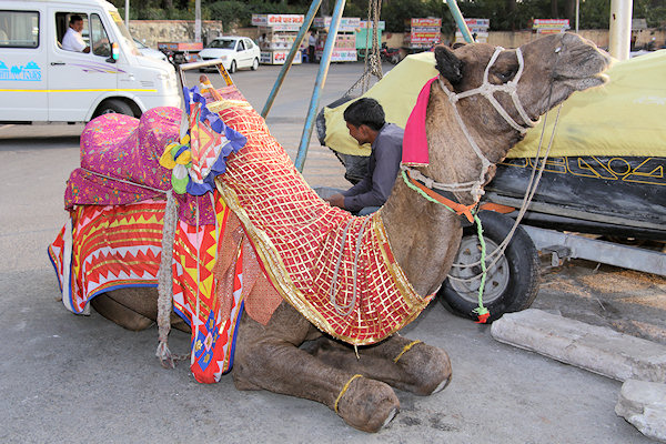 India - Udaipur