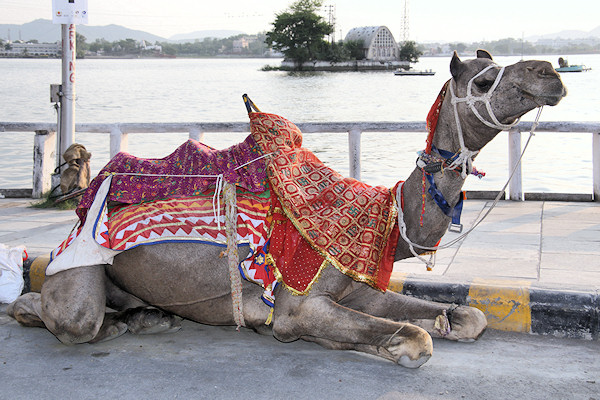 India - Udaipur