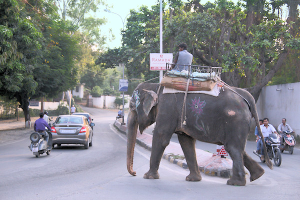 India - Udaipur