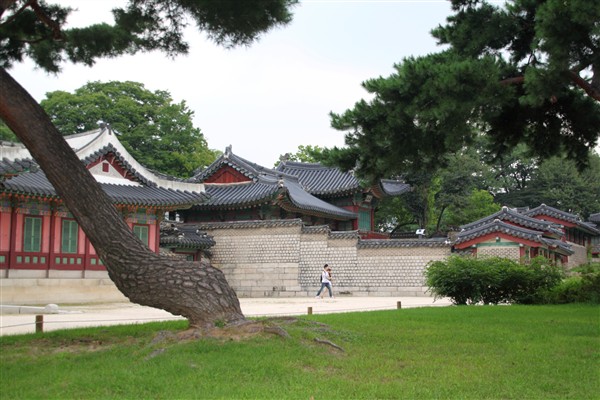 S_Korea_Seoul_Changdeokgung3361_600.jpg