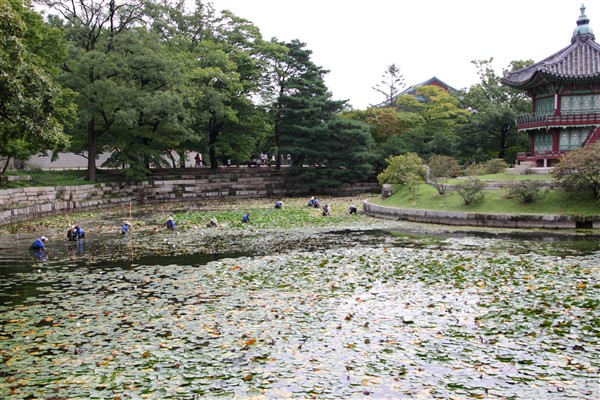 Seoul_GyeongbokgungPalace_03796_600.jpg