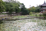 Seoul_GyeongbokgungPalace_03796_600