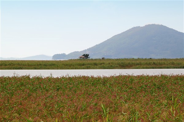 SuncheonBay_Wetland__0192_m.jpg