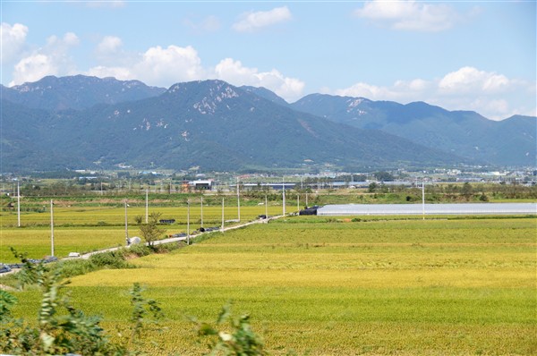 freewaytoincheon_DSC04612.jpg