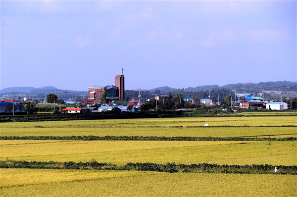 freewaytoincheon_DSC04701.jpg