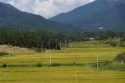 freewaytoincheon_DSC04619