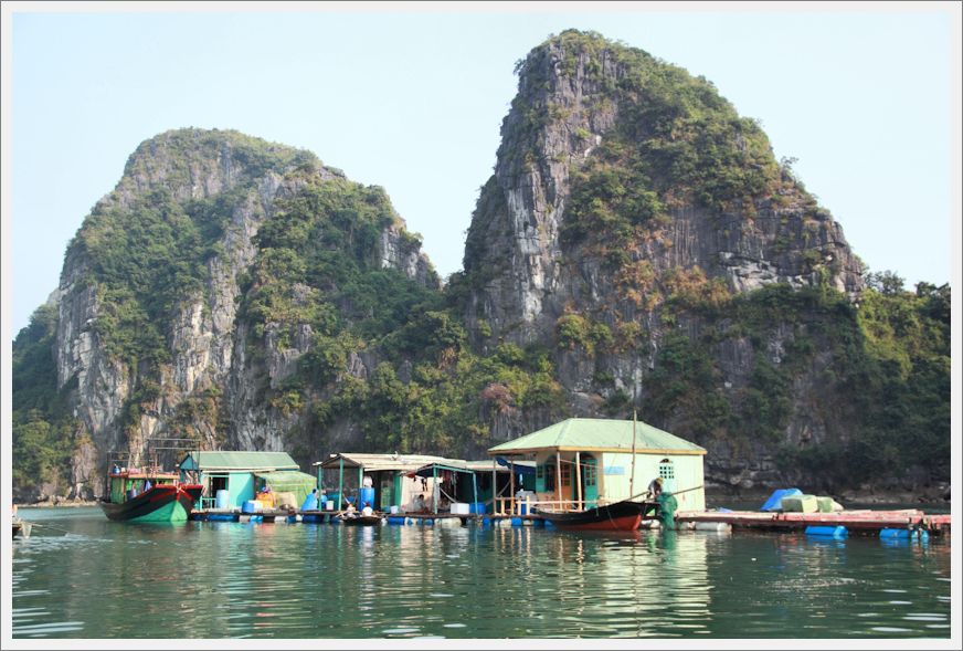 Vietnam_HalongBay_VungVieng_8939