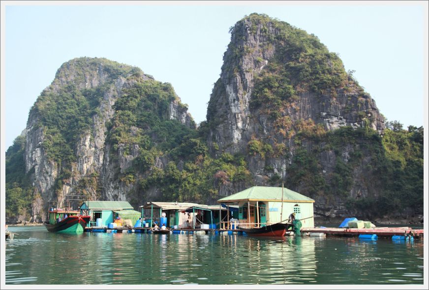 Vietnam_HalongBay_VungVieng_8939