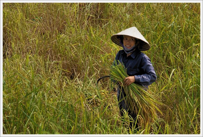 Hanoi_DSC02969