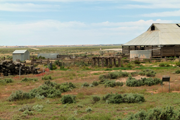 P1020323_mungo.jpg