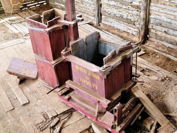 P1020347_mungo.jpg