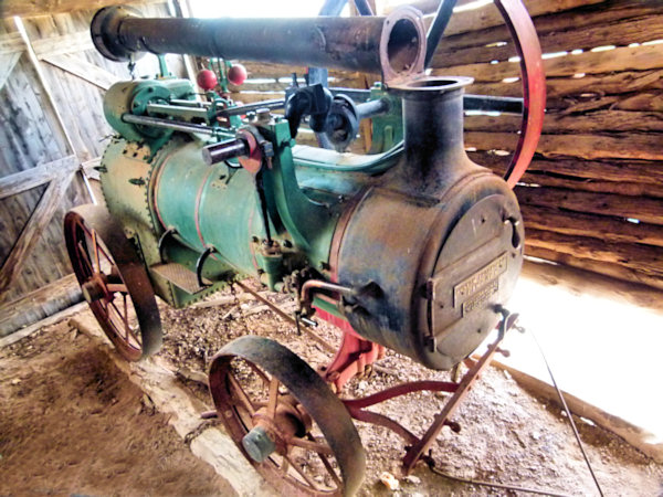 P1020358_mungo.jpg