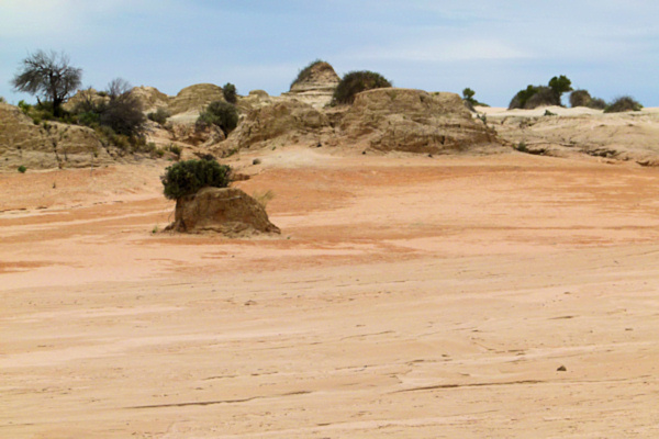 P1020383_mungo.jpg