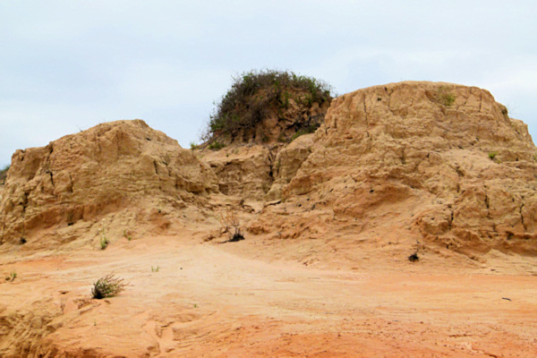 P1020387_mungo.jpg