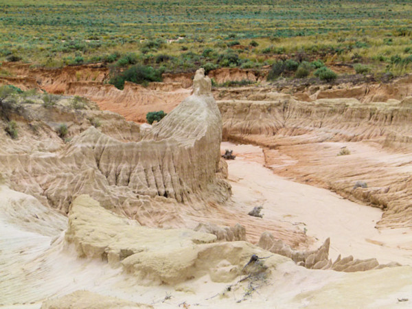 P1020423_mungo.jpg