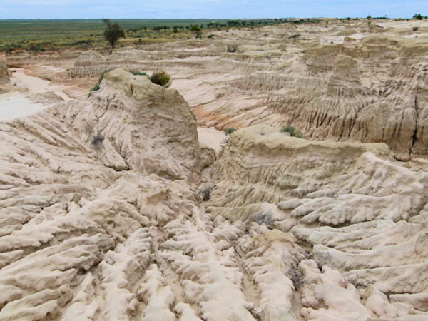P1020426_mungo.jpg
