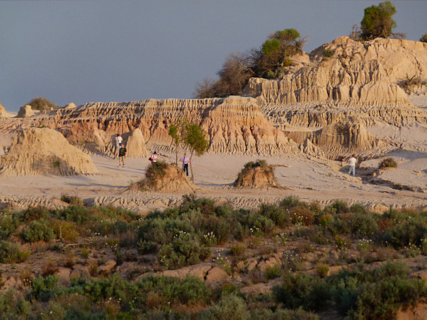 P1020477_mungo.jpg