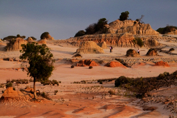 P1020478_mungo.jpg