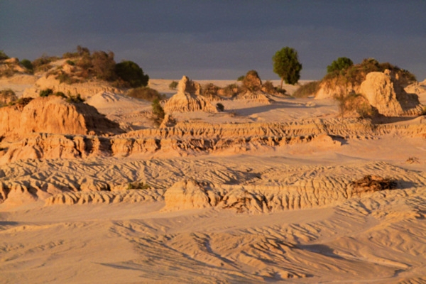 P1020481_mungo.jpg