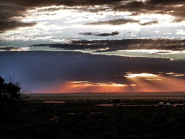 P1020485_mungo.jpg