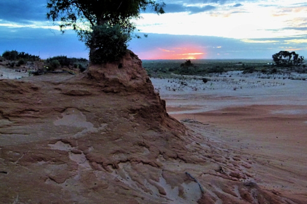 P1020505_mungo.jpg