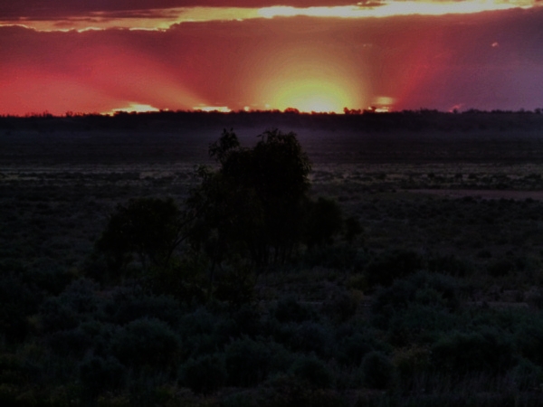 P1020506_mungo.jpg
