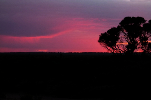 P1020512_mungo.jpg