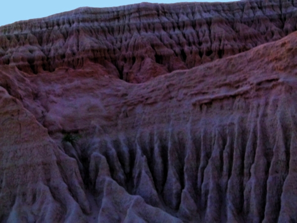 P1020543_mungo.jpg