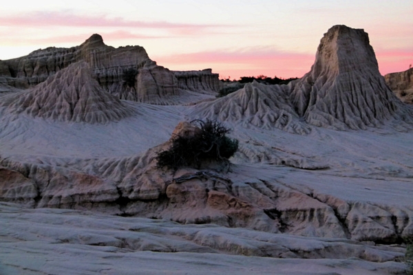 P1020552_mungo.jpg