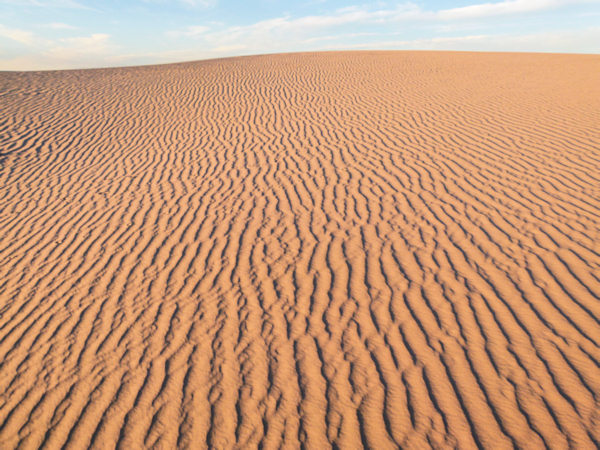 P1020587_mungo.jpg