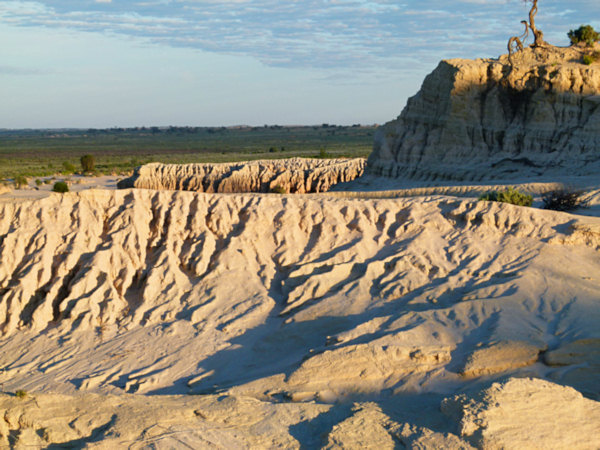 P1020594_mungo.jpg