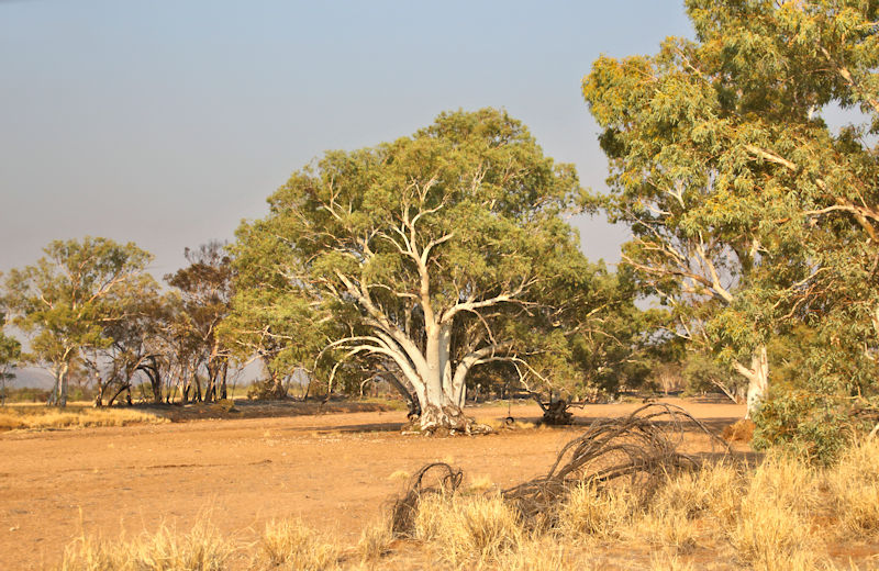 Todd River, Alice Springs