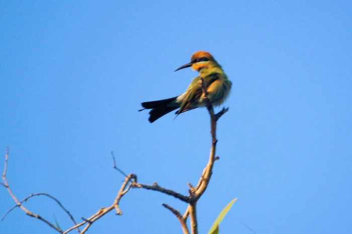 ThursPM_DSC01223