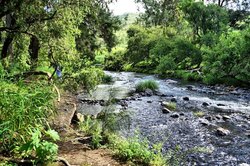 Morans Creek