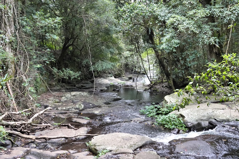 Morans Creek