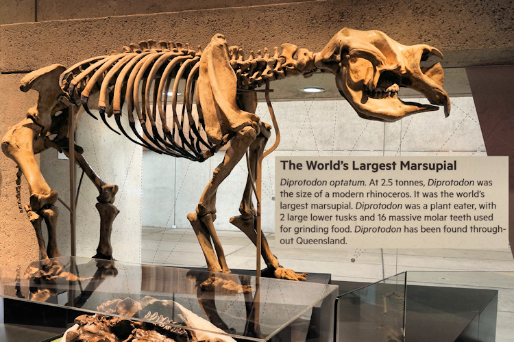 BrisbaneMuseum_DSC03716