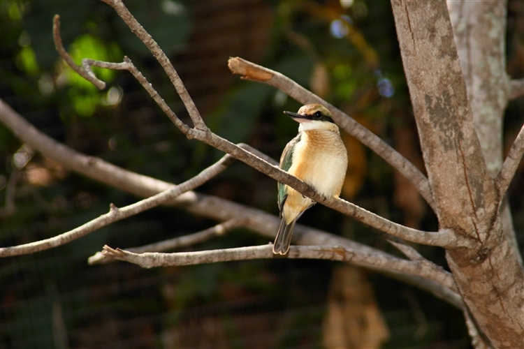 GoldCoast_WildlifeParks_IMG_5257