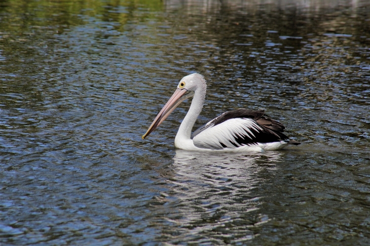 GoldCoast_WildlifeParks_IMG_5271