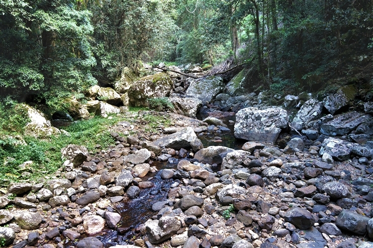 SprinbrookNationalParknearNaturalBridge_DSC05986