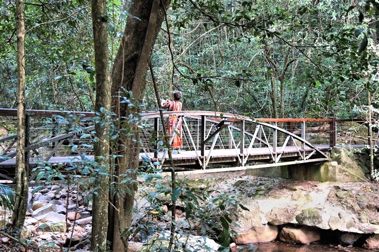 SpringbrookNationalParkNearNaturalBridge_DSC06002