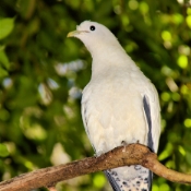 GoldCoast_WildlifeParks_IMG_5261