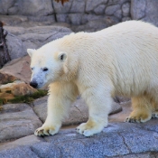 GoldCoast_WildlifeParks_IMG_5296